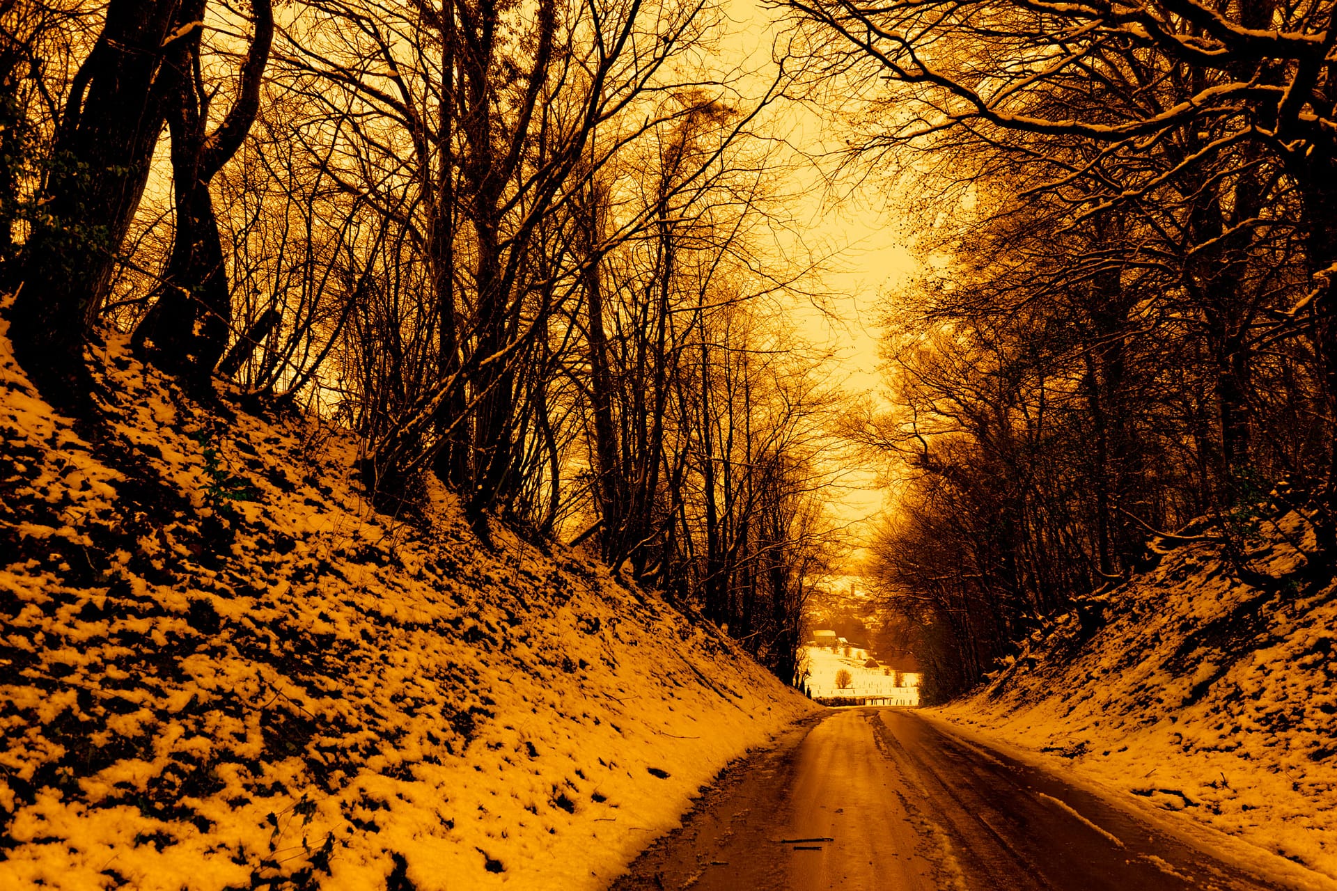 Ethe photographie nature par Stéphane Thirion etix photos